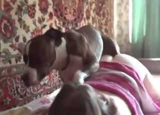 Small dog fucks so fast