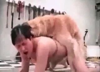 Babe nailed hardcore by tyke