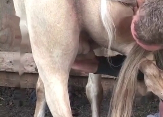Small pony enjoys bestiality