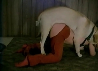 Bestial sex in the old hayloft