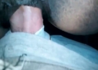 Animal fucked by a zoophile guy