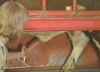 A bearded farmer takes care of his lovely horse